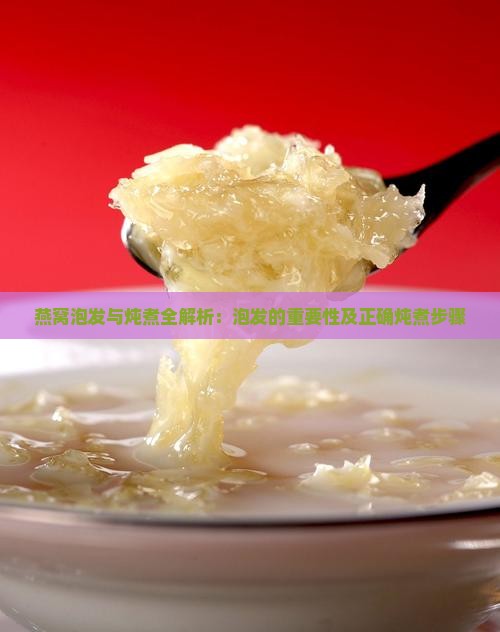 燕窝泡发与炖煮全解析：泡发的重要性及正确炖煮步骤