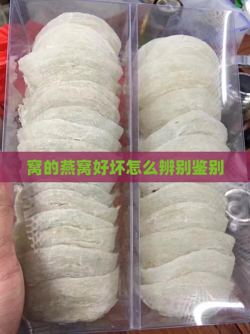 窝的燕窝好坏怎么辨别鉴别