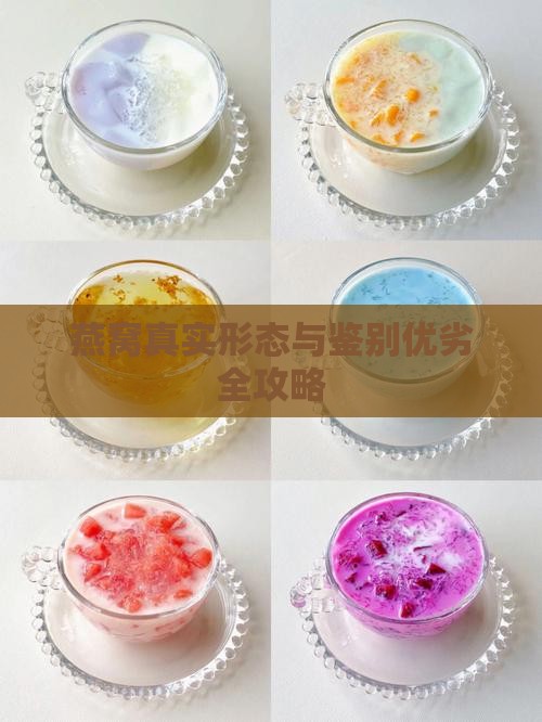 燕窝真实形态与鉴别优劣全攻略