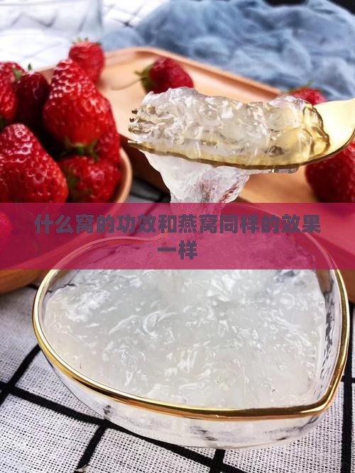 什么窝的功效和燕窝同样的效果一样