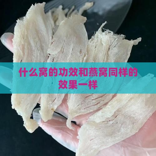 什么窝的功效和燕窝同样的效果一样