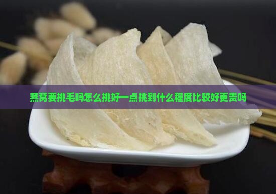 燕窝要挑毛吗怎么挑好一点挑到什么程度比较好更贵吗