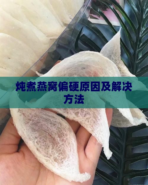 炖煮燕窝偏硬原因及解决方法