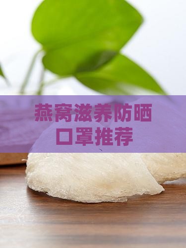 燕窝滋养防晒口罩推荐