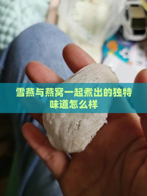 雪燕与燕窝一起煮出的独特味道怎么样