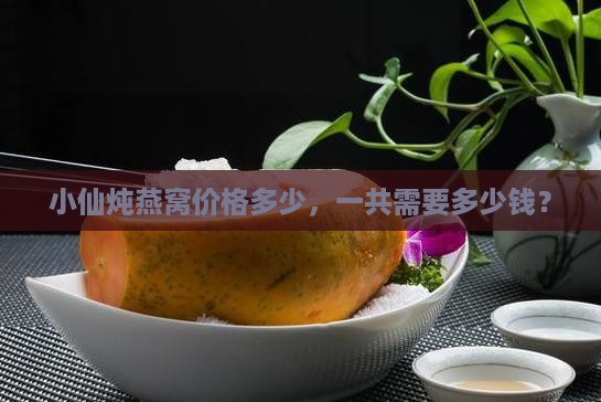 小仙炖燕窝价格多少，一共需要多少钱？