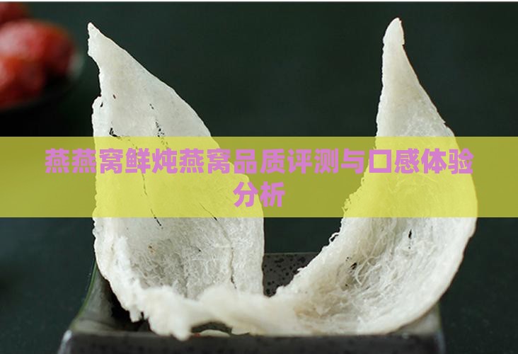 燕燕窝鲜炖燕窝品质评测与口感体验分析