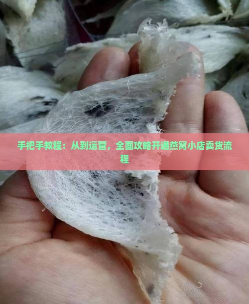 手把手教程：从到运营，全面攻略开通燕窝小店卖货流程