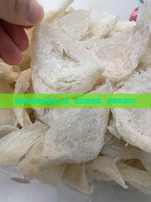 普吉岛燕窝香皂怎么样，是否真燕窝，值得购买吗？