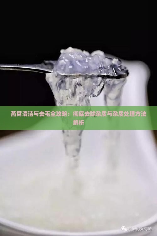 燕窝清洁与去毛全攻略：彻底去除杂质与杂质处理方法解析