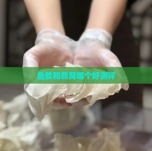鱼胶和燕窝哪个好测评