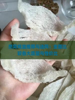 燕窝炖盅推荐与选购：全面比较各大质量与性价比
