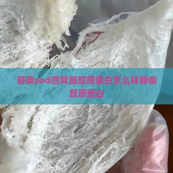 静奈sod燕窝酸胶原蛋白怎么样静奈胶原蛋白