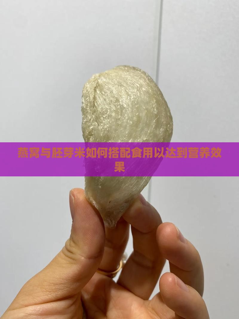 燕窝与胚芽米如何搭配食用以达到营养效果