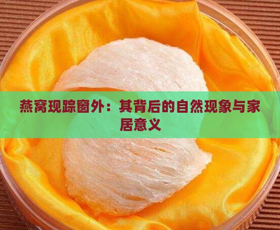 燕窝现踪窗外：其背后的自然现象与家居意义