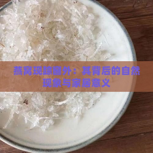 燕窝现踪窗外：其背后的自然现象与家居意义