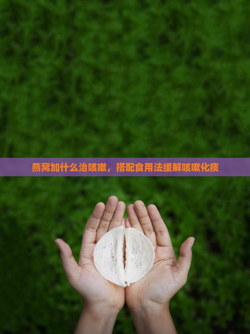 燕窝加什么治咳嗽，搭配食用法缓解咳嗽化痰