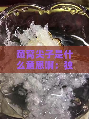 燕窝尖子是什么意思啊：独特吃法与含析