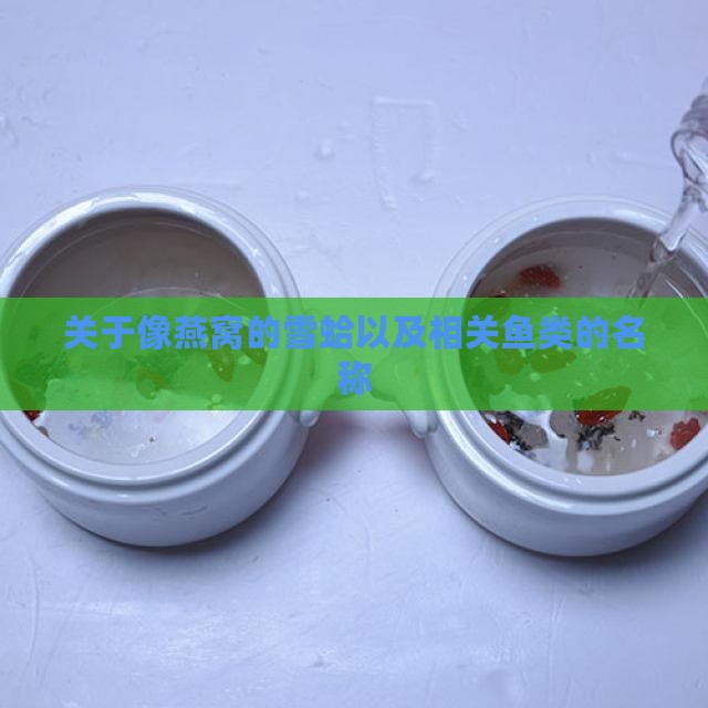 关于像燕窝的雪蛤以及相关鱼类的名称
