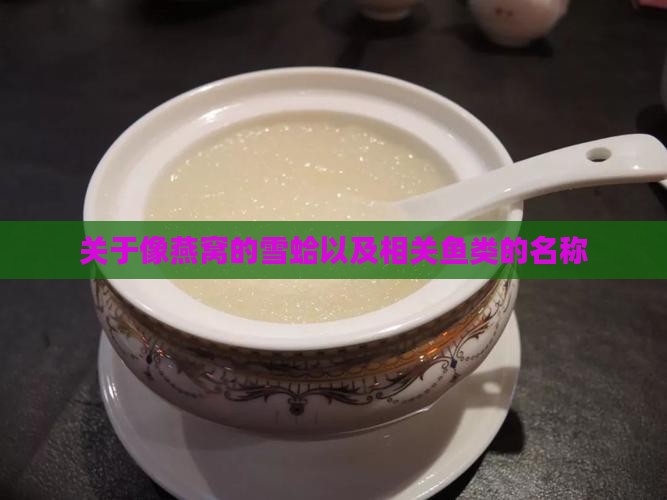 关于像燕窝的雪蛤以及相关鱼类的名称