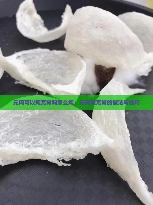 元肉可以炖燕窝吗怎么炖：元肉炖燕窝的做法与技巧