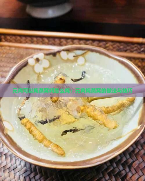 元肉可以炖燕窝吗怎么炖：元肉炖燕窝的做法与技巧