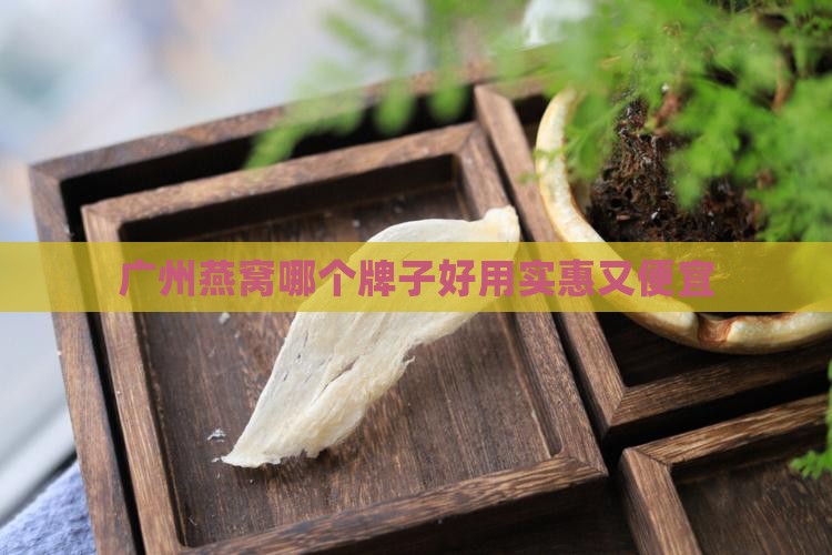 广州燕窝哪个牌子好用实惠又便宜