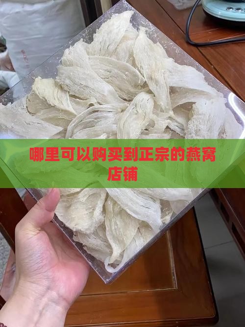哪里可以购买到正宗的燕窝店铺