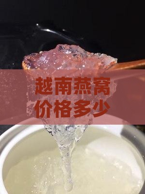 越南燕窝价格多少一斤及合理一斤价格解析