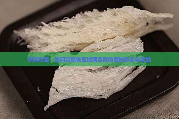 燕窝修复：如何完整恢复掉落燕窝的原始形态与质地