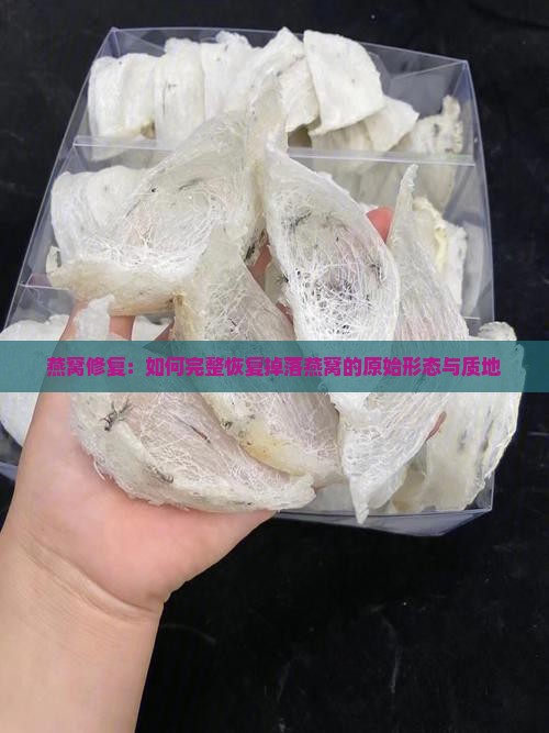 燕窝修复：如何完整恢复掉落燕窝的原始形态与质地