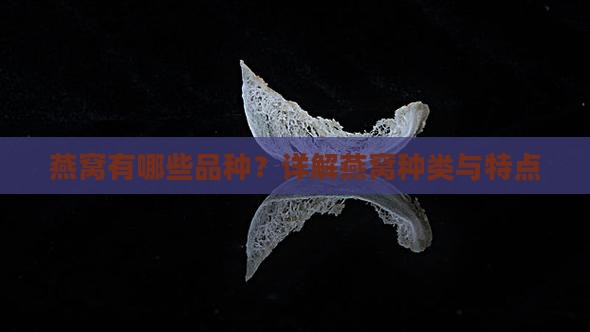 燕窝有哪些品种？详解燕窝种类与特点