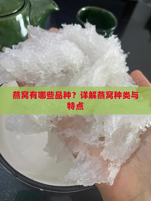 燕窝有哪些品种？详解燕窝种类与特点