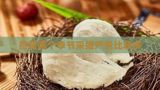 燕窝哪个季节采摘产量比较多