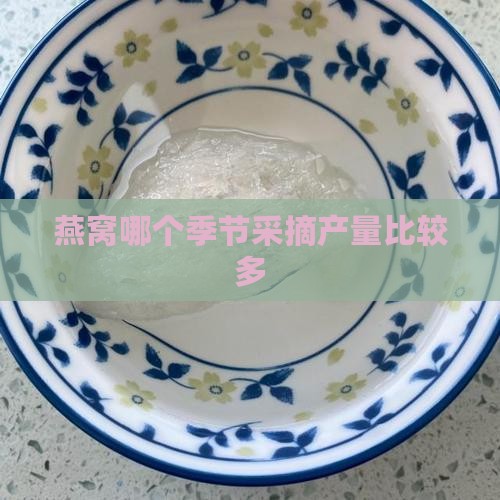 燕窝哪个季节采摘产量比较多
