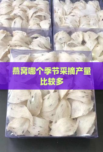 燕窝哪个季节采摘产量比较多