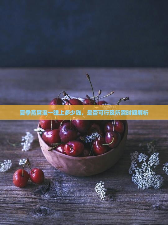 夏季燕窝泡一晚上多少钱，是否可行及所需时间解析