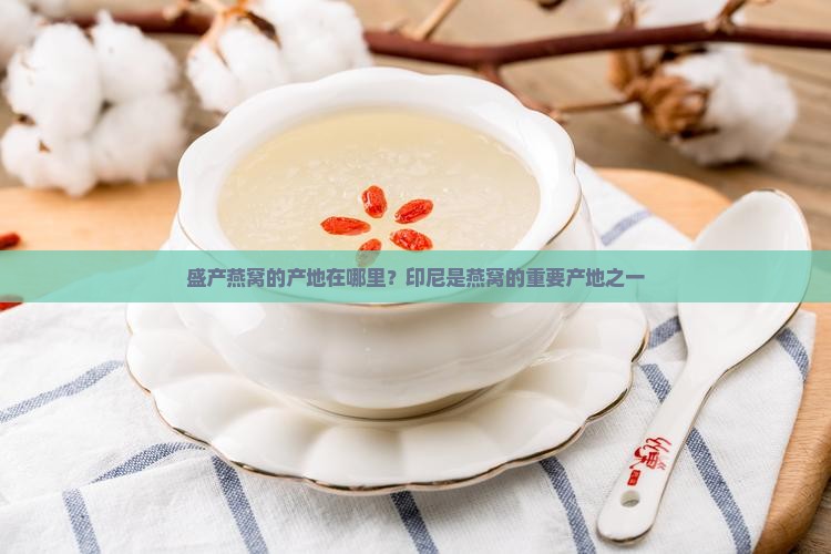 盛产燕窝的产地在哪里？印尼是燕窝的重要产地之一