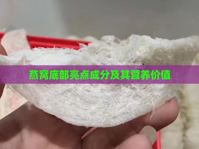 燕窝底部亮点成分及其营养价值