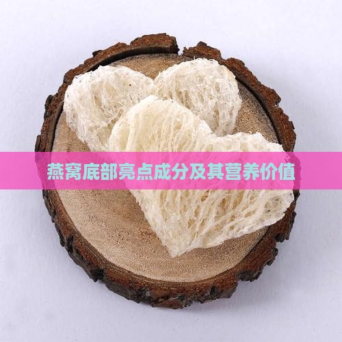 燕窝底部亮点成分及其营养价值