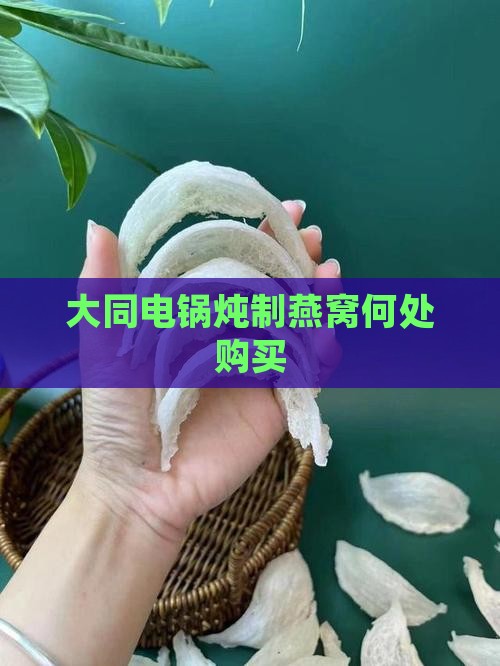 大同电锅炖制燕窝何处购买