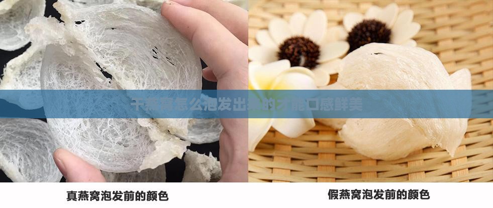 干燕窝怎么泡发出来的才能口感鲜美