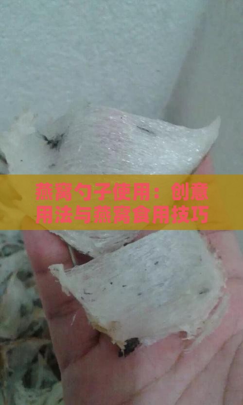 燕窝勺子使用：创意用法与燕窝食用技巧大全