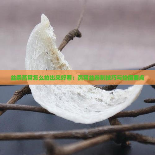 丝条燕窝怎么拍出来好看：燕窝丝卷制技巧与拍摄要点