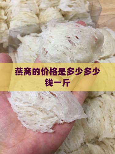 燕窝的价格是多少多少钱一斤