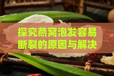 探究燕窝泡发容易断裂的原因与解决方法