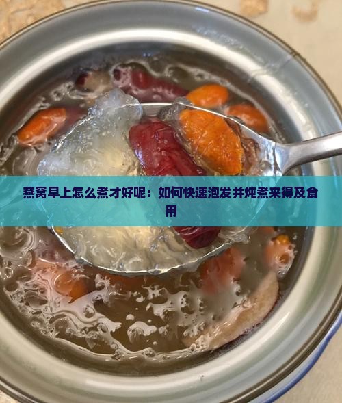 燕窝早上怎么煮才好呢：如何快速泡发并炖煮来得及食用