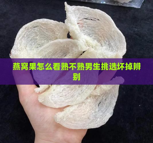 燕窝果怎么看熟不熟男生挑选坏掉辨别