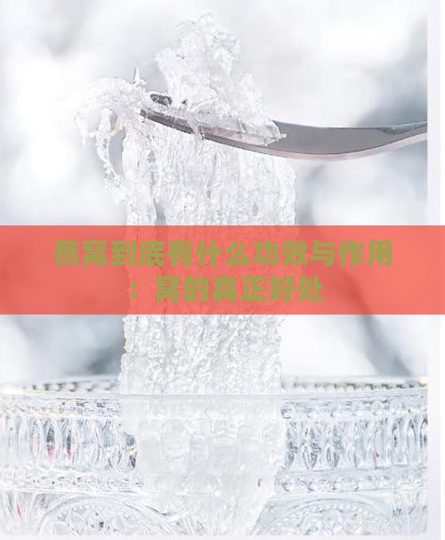燕窝到底有什么功效与作用：窝的真正好处