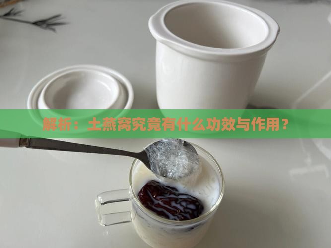 解析：土燕窝究竟有什么功效与作用？